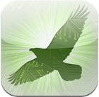 birdcountr
