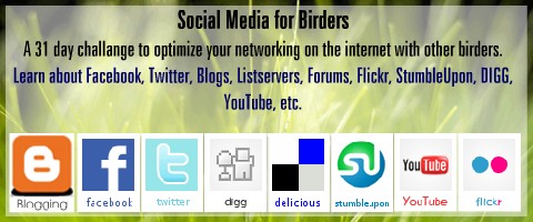 Social Media for birders workshop