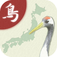 Japanese Birds