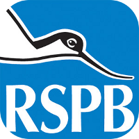 RSPB eGuide to British Birds