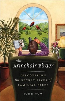 cover of The Armchair Birder: Discovering the Secret Lives of Familiar Birds, by John Yow
