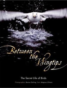 cover of Between the Wingtips: The Secret Life of Birds, by Brutus Ostling and Magnus Ullman