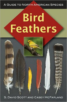 cover of Bird Feathers: A Guide to North American Species, by S. David Scott and Casey McFarland
