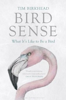cover of Bird Sense: What It's Like to Be a Bird, by Tim Birkhead