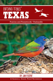 cover of Birding Trails: Texas: Panhandle and Prairies & Pineywoods, by Jim Foster