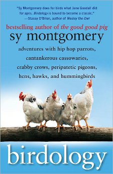 cover of Birdology: Adventures with Hip Hop Parrots, Cantankerous Cassowaries, Crabby Crows, Peripatetic Pigeons, Hens, Hawks, and Hummingbirds, by Sy Montgomery