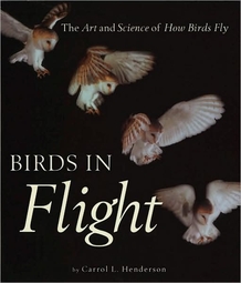 cover of Birds in Flight: The Art and Science of How Birds Fly, by Carrol L. Henderson