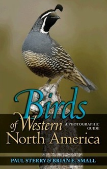 cover of Birds of Western North America: A Photographic Guide, by Paul Sterry and Brian E. Small