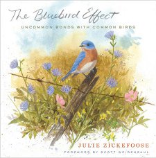 cover of The Bluebird Effect: Uncommon Bonds with Common Birds, by Julie Zickefoose