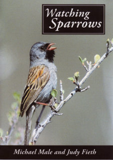 cover of Watching Sparrows DVD