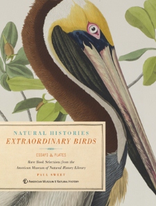 cover of Extraordinary Birds: Essays and Plates of Rare Book Selections from the American Museum of Natural History Library, by Paul Sweet