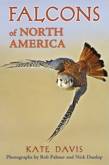 cover of Falcons of North America, by Kate Davis