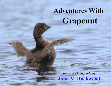 cover of Adventures With Grapenut, by John M. Rockwood
