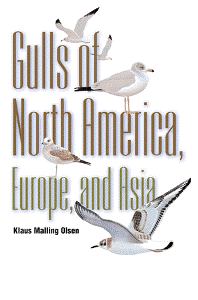 cover of Gulls of North America, Europe, and Asia
