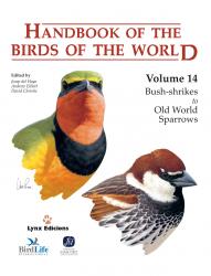 cover of Handbook of the Birds of the World, Volume 14: Bush-shrikes to Old World Sparrows, by Josep del Hoyo, Andrew Elliott, and David A. Christie