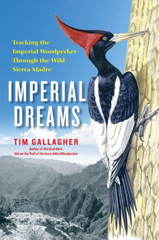 Imperial Dreams: Tracking the Imperial Woodpecker Through the Wild Sierra Madre
