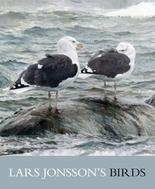 cover of Lars Jonsson's Birds: Paintings from a Near Horizon, by Lars Jonsson