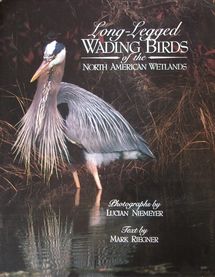 cover of Long-Legged Wading Birds of the North American Wetlands