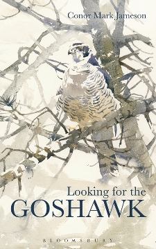 cover of Looking for the Goshawk, by Conor Mark Jameson