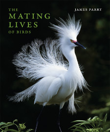 The Mating Lives of Birds