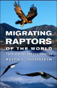 cover of Migrating Raptors of the World: Their Ecology and Conservation