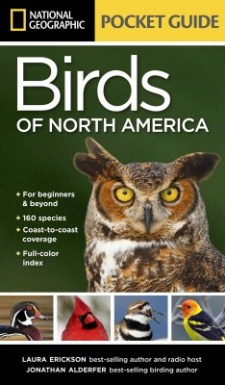 cover of National Geographic Pocket Guide to the Birds of North America, by Laura Erickson and Jonathan Alderfer