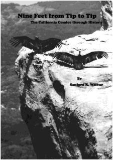 Nine Feet from Tip to Tip: The California Condor Through History