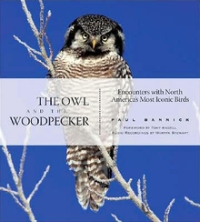 cover of The Owl and the Woodpecker: Encounters With North America's Most Iconic Birds, by Paul Bannick