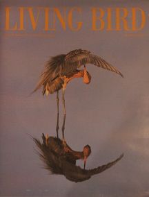cover of Living Bird
