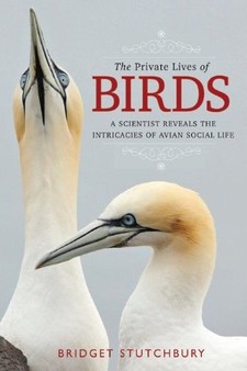 cover of The Private Lives of Birds: A Scientist Reveals the Intricacies of Avian Social Life, by Bridget Stutchbury