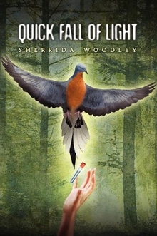 cover of Quick Fall Of Light, by Sherrida Woodley