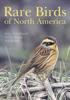 cover of Rare Birds of North America, by Steve N. G. Howell, Ian Lewington, and Will Russell