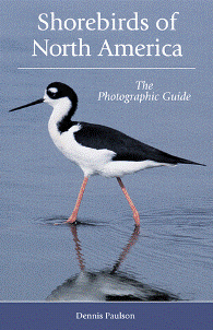 cover of Shorebirds of North America: The Photographic Guide