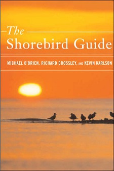 cover of The Shorebird Guide