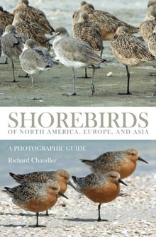 cover of Shorebirds of North America, Europe, and Asia: A Photographic Guide, by Richard Chandler