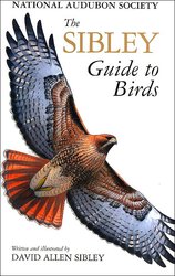 cover of The Sibley Guide to Birds