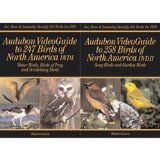 cover of Audubon VideoGuide to 505 Birds of North America