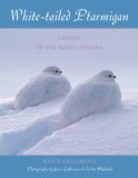 White-tailed Ptarmigan: Ghosts of the Alpine Tundra