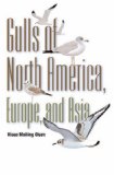 Gulls of North America, Europe, and Asia