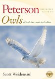 Peterson Reference Guide to Owls of North America and the Caribbean