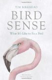Bird Sense: What It’s Like to Be a Bird