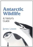 Antarctic Wildlife: A Visitor’s Guide