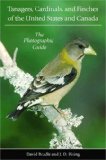 Tanagers, Cardinals, and Finches of the United States and Canada: The Photographic Guide