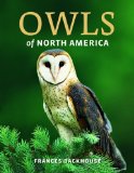 Owls of North America