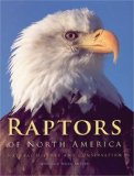 cover of Raptors of North America: Natural History and Conservation