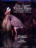 Long-Legged Wading Birds of the North American Wetlands