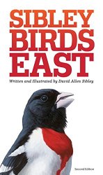 Sibley Birds East (Second Edition)