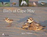 Birds of Cape May