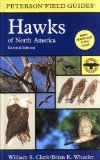 Hawks of North America (Peterson Field Guide)