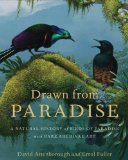 Drawn from Paradise: The Discovery, Art and Natural History of the Birds of Paradise